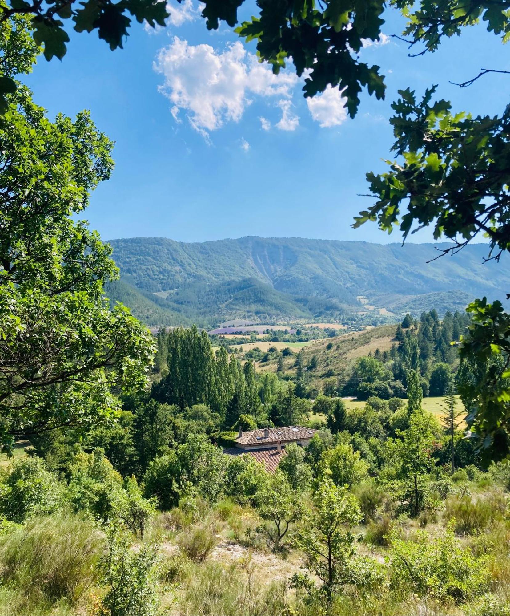 Le Moulin De La Viorne, Gite Avec Piscine Au Coeur De La Nature En Haute-Provence Les Omergues エクステリア 写真