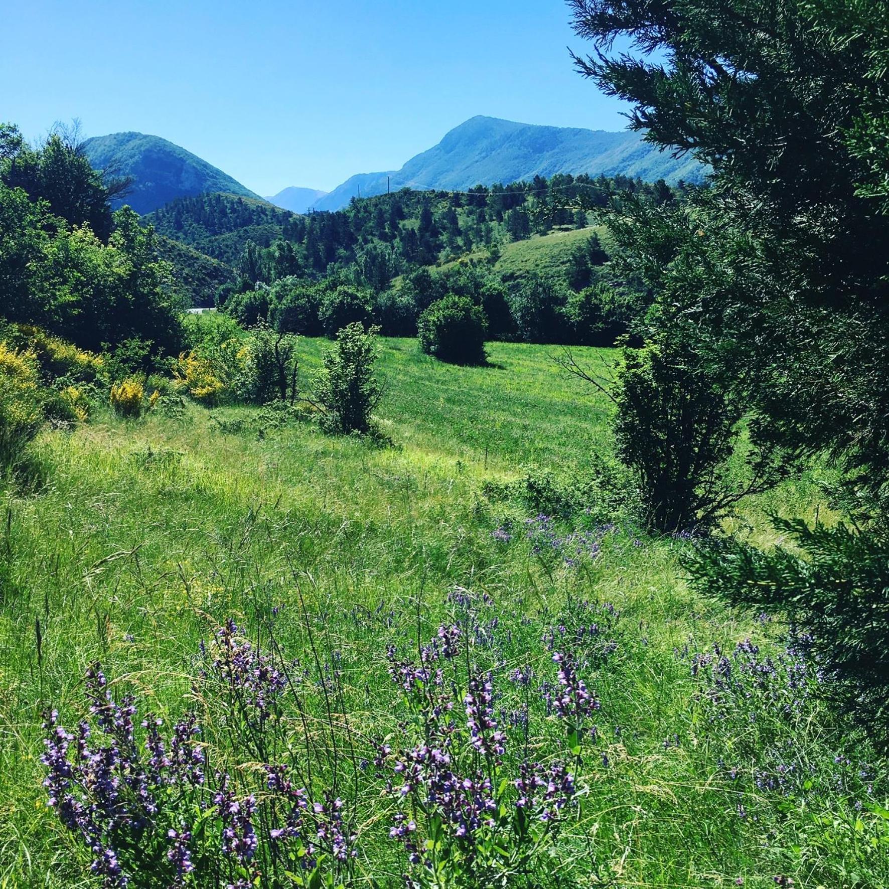 Le Moulin De La Viorne, Gite Avec Piscine Au Coeur De La Nature En Haute-Provence Les Omergues エクステリア 写真