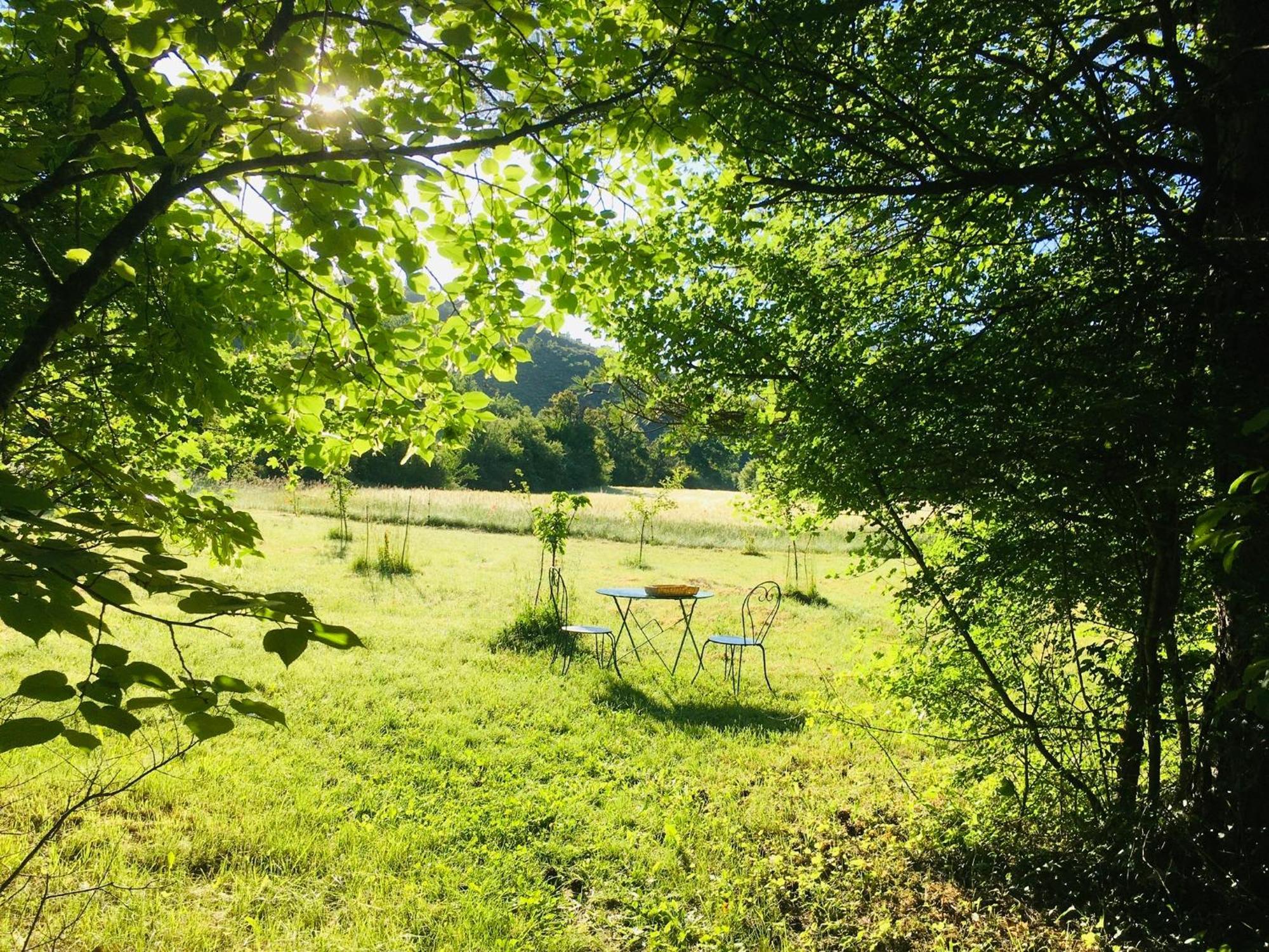 Le Moulin De La Viorne, Gite Avec Piscine Au Coeur De La Nature En Haute-Provence Les Omergues エクステリア 写真