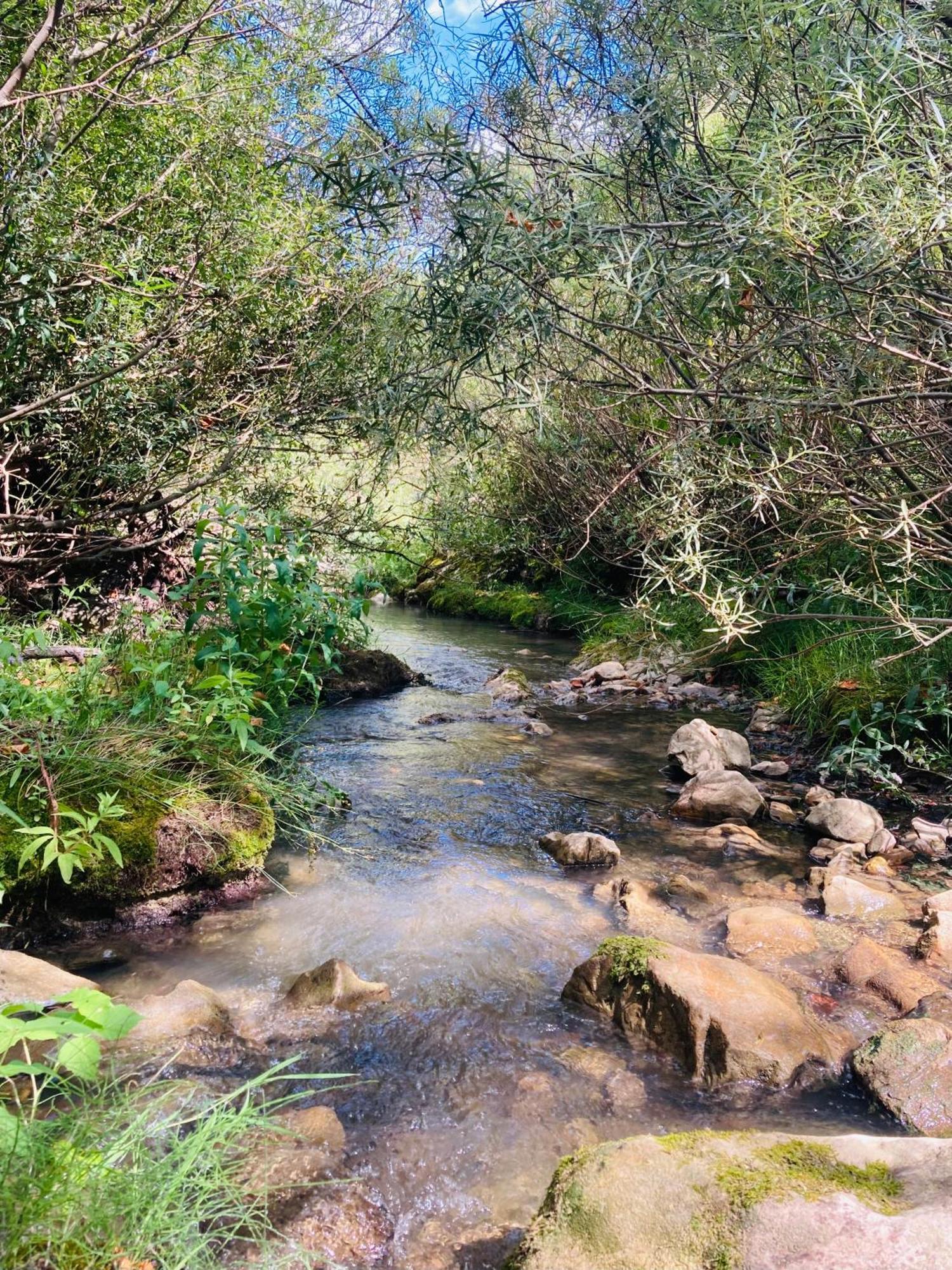 Le Moulin De La Viorne, Gite Avec Piscine Au Coeur De La Nature En Haute-Provence Les Omergues エクステリア 写真